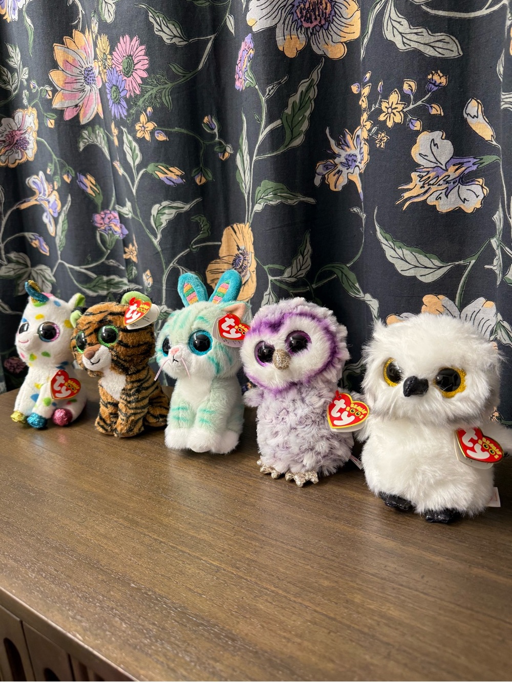 Ty Beanie Boo Collection – Lot of 5 🧸